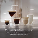 Machine à expresso DELONGHI Linea Classic EM450.M Argent